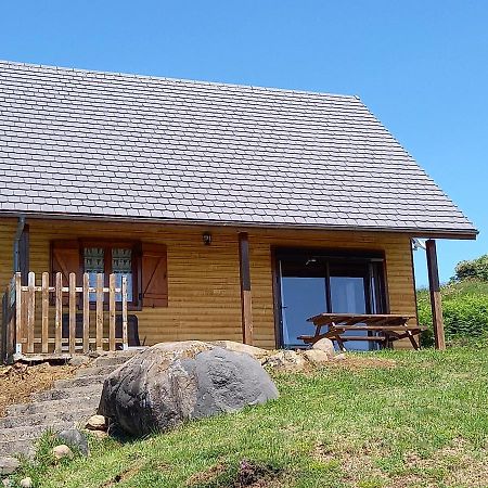 Chalet Sancy Saint-Genès-Champespe Kültér fotó