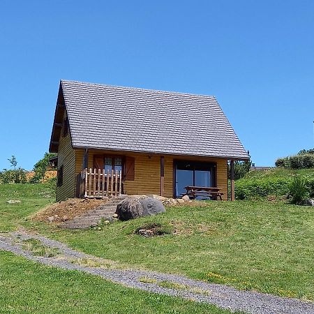 Chalet Sancy Saint-Genès-Champespe Kültér fotó
